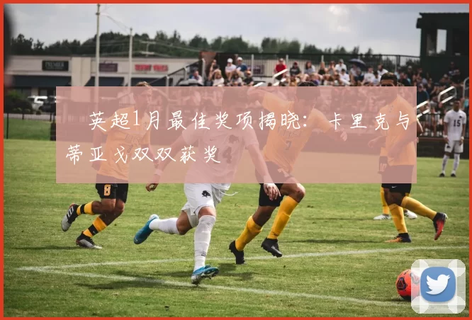 ​英超1月最佳奖项揭晓：卡里克与蒂亚戈双双获奖