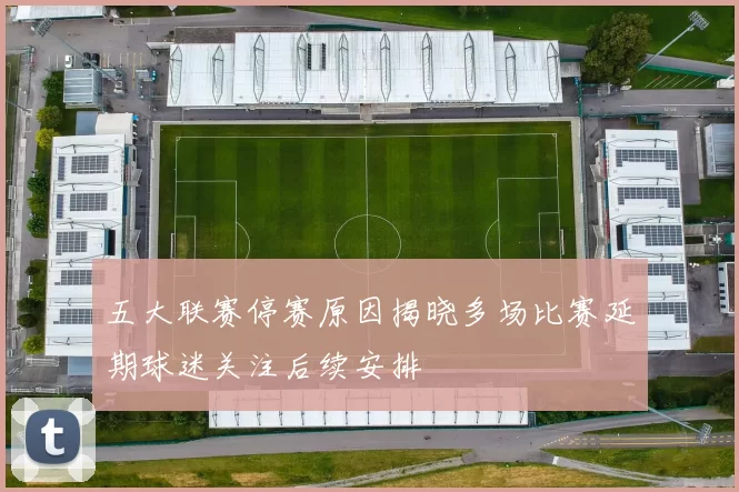 五大联赛停赛原因揭晓多场比赛延期球迷关注后续安排