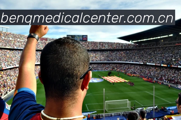 多媒体互动体验